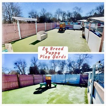 Happy Dog Pet Resort - Pet Sitting Near Me - Abington, Massachusetts Happy Dog Pet Resort - Pet Sitting Near Me - Abington, Massachusetts