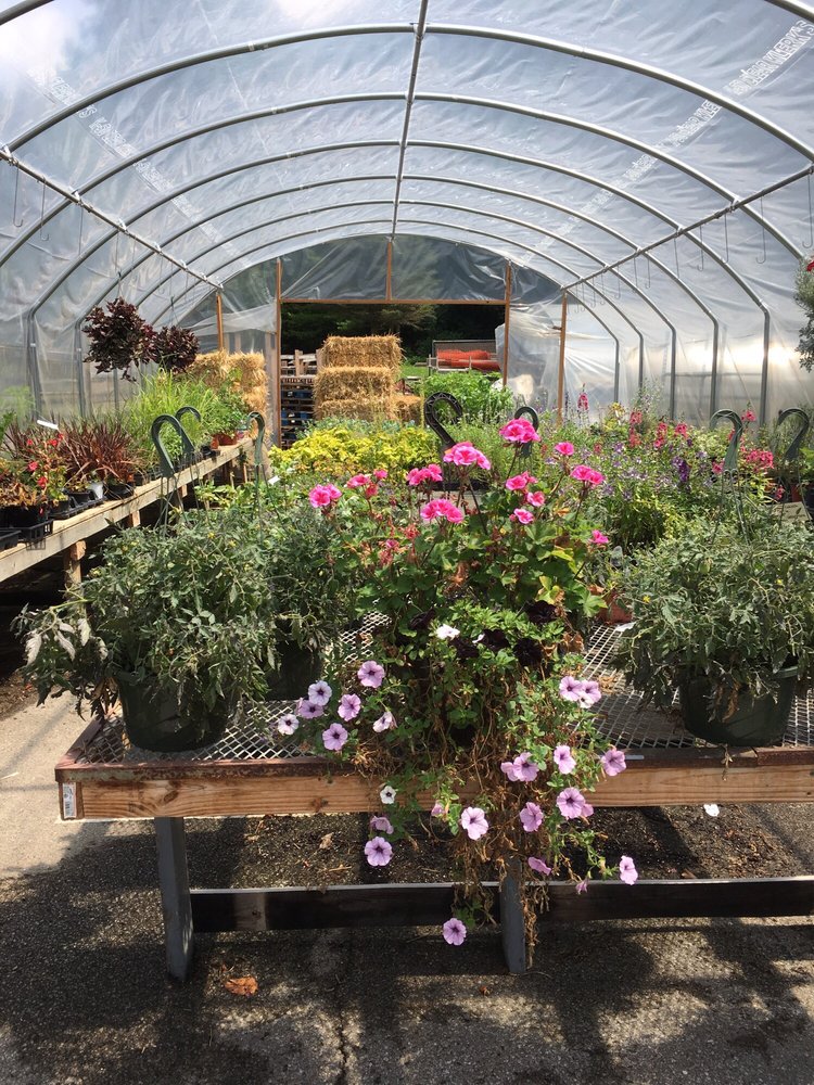 BEDNER’S FARM MARKET Updated April 2024 26 Photos 1520 Bower Hill