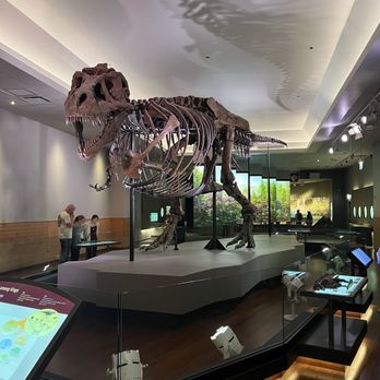 Field Museum - Sue - Museums Near Me - Chicago, Illinois