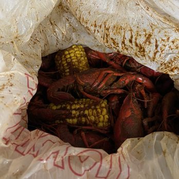 Bluewater Seafood - Champions - 5 lbs spicy crawfish - Seafood Near Me - Houston, Texas
