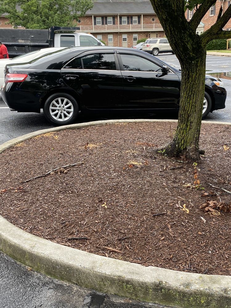 QUALITY CARS Updated August 2024 520 N Salisbury Blvd, Salisbury