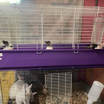 Balboa's Pet Store - Pet Stores Near Me - Corpus Christi, Texas Balboa's Pet Store - Pet Stores Near Me - Corpus Christi, Texas