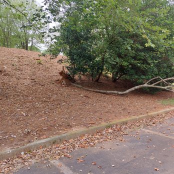 Apex Tree Service - Tree Services Near Me