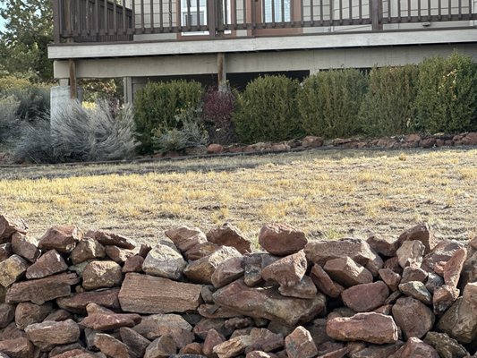 Lone Pine Coffee Roasters by null