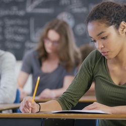 The Princeton Review