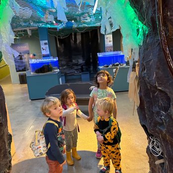 Blueside Preschool - Fun at the Randall Museum - Preschools Near Me - San Francisco, California Blueside Preschool - Fun at the Randall Museum - Preschools Near Me - San Francisco, California