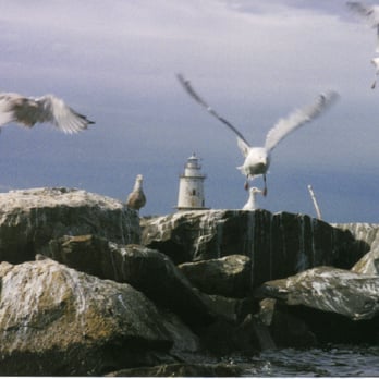 Stamford Harbor Ledge Lighthouse - The seagulls didn't like me. Photo by Anna K - Landmarks & Historical Buildings Near Me - Stamford, Connecticut
