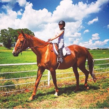 Cadence Equestrian Center - Horseback Riding Near Me - Edmond, Oklahoma Cadence Equestrian Center - Horseback Riding Near Me - Edmond, Oklahoma