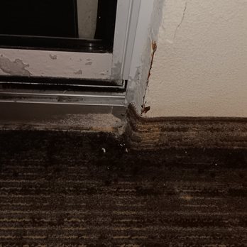 Hampton Inn & Suites Outer Banks/ Corolla - The water was already damaging the room - Hotels Near Me - Corolla, North Carolina