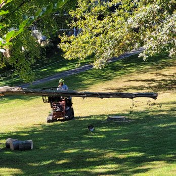 Timber Source Professional Tree Services - Tree Source Treem removal crew hard at work and professional. - Tree Services Near Me - Edwardsville, Illinois