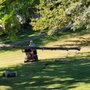 Photo of Timber Source Professional Tree Services