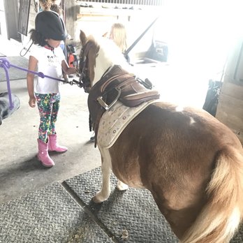 Monarch Stables Austin - Horseback Riding Near Me - Austin, Texas