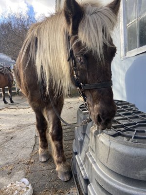 Mountain View Ranch by null