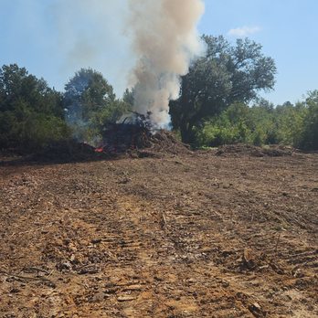 Quality Land Services - Tree Services Near Me - Valdosta, Georgia Quality Land Services - Tree Services Near Me - Valdosta, Georgia