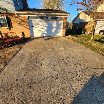 Honey Bear Tree Care - Area all cleaned - Tree Services Near Me Honey Bear Tree Care - Area all cleaned - Tree Services Near Me