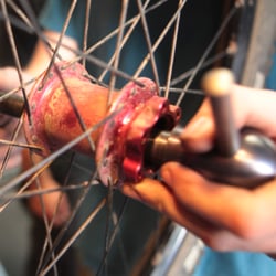 Big Swingin' Cycles - We spare no expense on tooling - Chris King Hub Overhaul Tool.