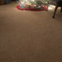 Photo of Special Touch Carpet Cleaning