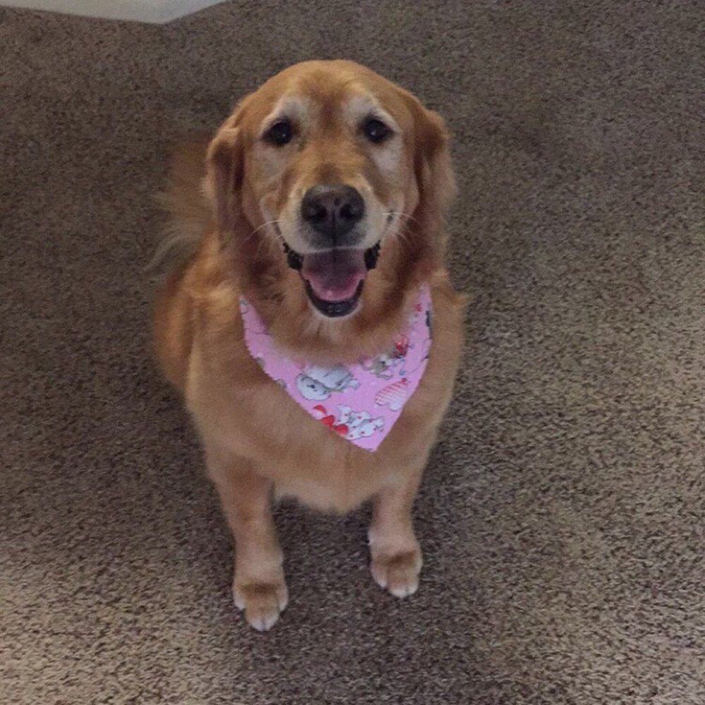 Maya with her new haircut and smelling like a flower.