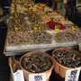 Photo of GS Food Market