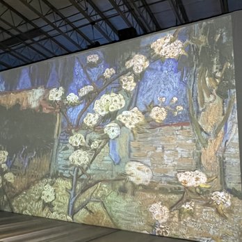 Beyond Van Gogh: the Immersive Experience - Art Installation Near Me - Albuquerque, New Mexico