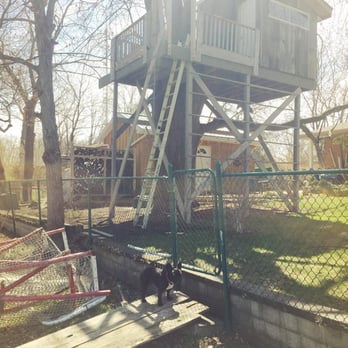 Kelly Park - I found this soopercool treecastle, guys!! - Parks Near Me - London, Ontario Kelly Park - I found this soopercool treecastle, guys!! - Parks Near Me - London, Ontario