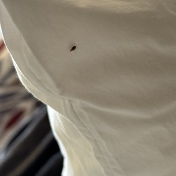 Red Roof Inn - Bed Bug - Hotels Near Me - St George, South Carolina