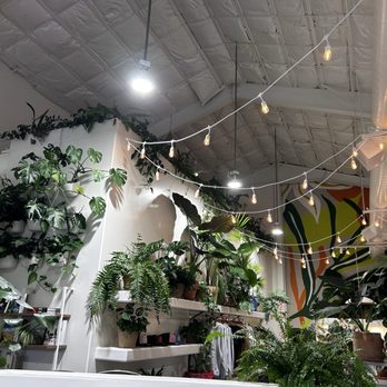 The Power Plant Coffee - Indoor Garden Like Seating Area - Coffee & Tea Near Me - Moss Landing, California The Power Plant Coffee - Indoor Garden Like Seating Area - Coffee & Tea Near Me - Moss Landing, California
