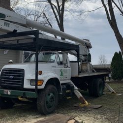 Twin Pines Tree Care Experts