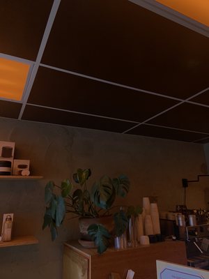 Carnelian Coffee by null