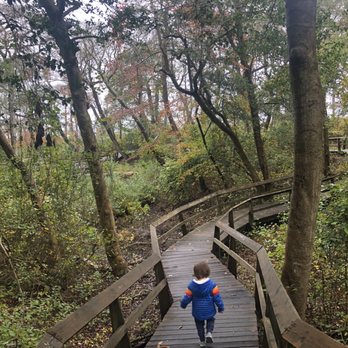 Sunken Forest - Parks Near Me - Sayville, New York