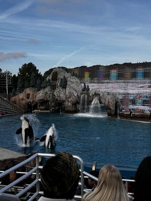 SeaWorld San Diego by null