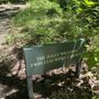 Photo of Twin Leaf Ridge