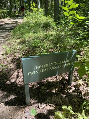 Twin Leaf Ridge