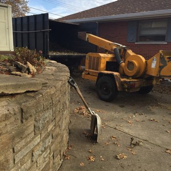 Stegman Industries - Good work done by good folks at Stegman Industries. - Tree Services Near Me - Fort Thomas, Kentucky