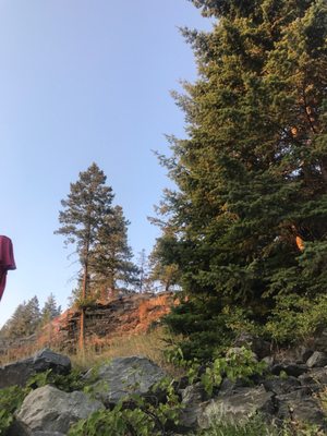 Woods Bay Wine by null