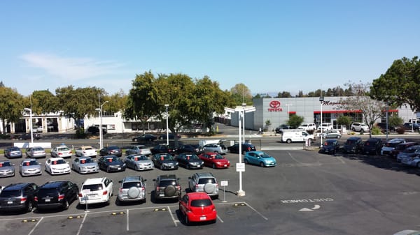 Extraordinary Magnussen S Toyota Of Palo Alto Gallery