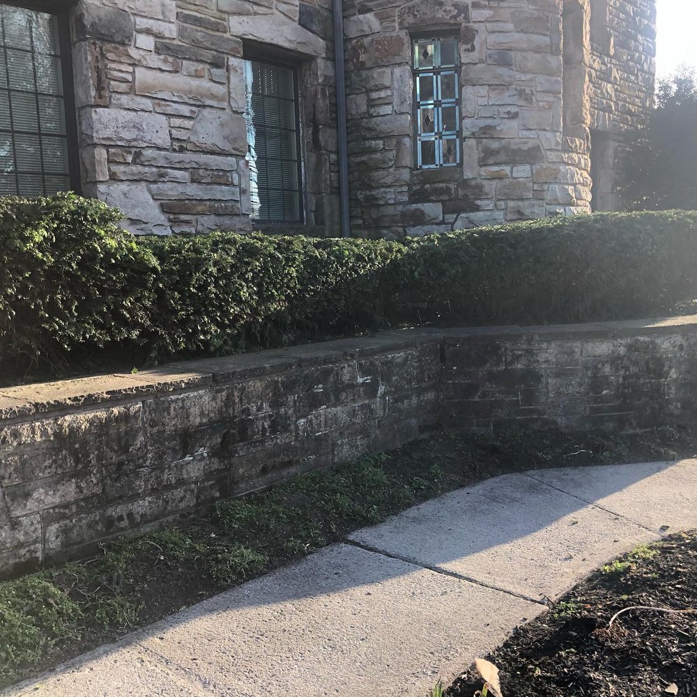 HENRY & SONS LAWNCARE Updated August 2024 2100 Greenwood St, Harrisburg, Pennsylvania Lawn