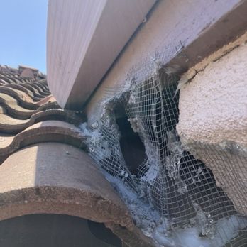 Attic Pros - Previously repaired area where a rodent recently pushed through to gain entry into the attic. - Pest Control Near Me - Oakland, California Attic Pros - Previously repaired area where a rodent recently pushed through to gain entry into the attic. - Pest Control Near Me - Oakland, California