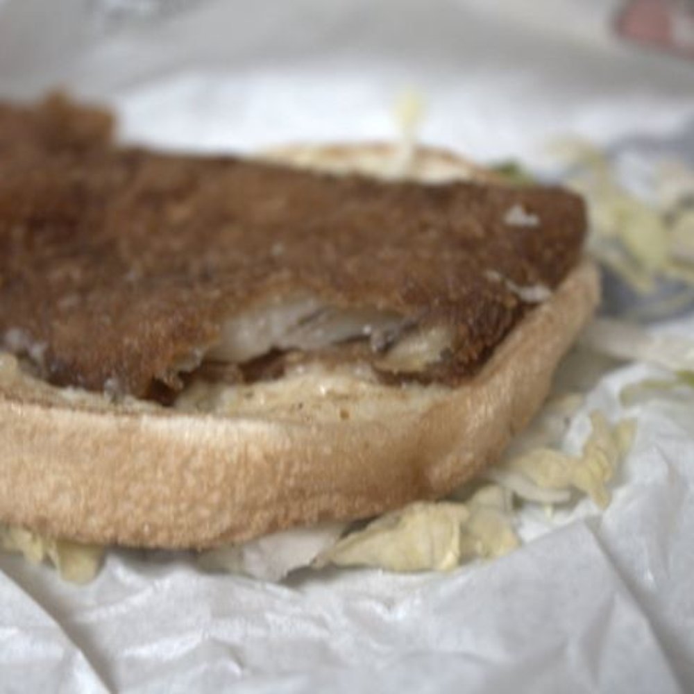 Rally's - My cat said no even - Fast Food Near Me - Grove City, Ohio Rally's - My cat said no even - Fast Food Near Me - Grove City, Ohio