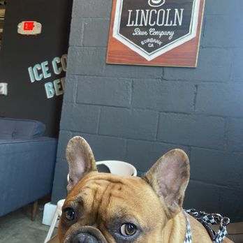 Lincoln Beer Company - @gusgusthefrenchbulldogusa - Breweries Near Me - Burbank, California Lincoln Beer Company - @gusgusthefrenchbulldogusa - Breweries Near Me - Burbank, California