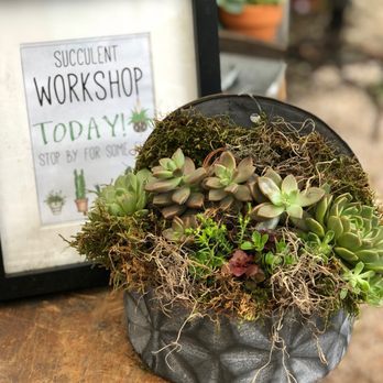 Garden Gatherings - We do succulent workshops too! - Nurseries & Gardening Near Me - Leesburg, Virginia Garden Gatherings - We do succulent workshops too! - Nurseries & Gardening Near Me - Leesburg, Virginia
