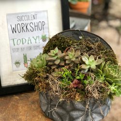 Garden Gatherings - We do succulent workshops too!