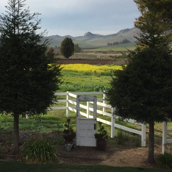 The Bees Knees Fruit Farm - Farms Near Me - San Luis Obisp, California