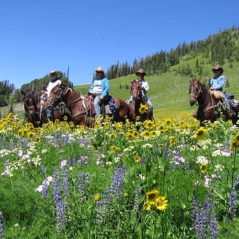 Dry Ridge Outfitters - Horseback Riding Near Me - Felt, Idaho Dry Ridge Outfitters - Horseback Riding Near Me - Felt, Idaho