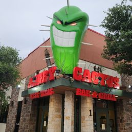 ANGRY CACTUS - Updated February 2026 - 405 Photos & 375 Reviews - 1 W