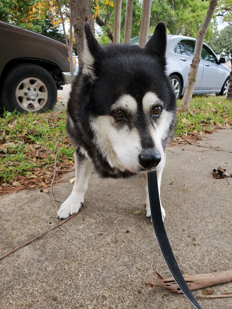 MESQUITE Updated August 2024 1650 Gross Rd, Mesquite, Texas