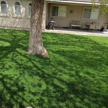 Pyramid Lawn Care - New grass - Lawn Services Near Me - Fallon, Nevada