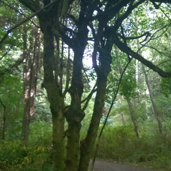 Discovery Park - Parks Near Me - Seattle, Washington Discovery Park - Parks Near Me - Seattle, Washington