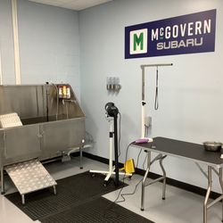 McGovern Subaru