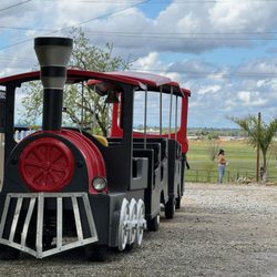 Bay Area Fun and Games - Trackless Train Rental